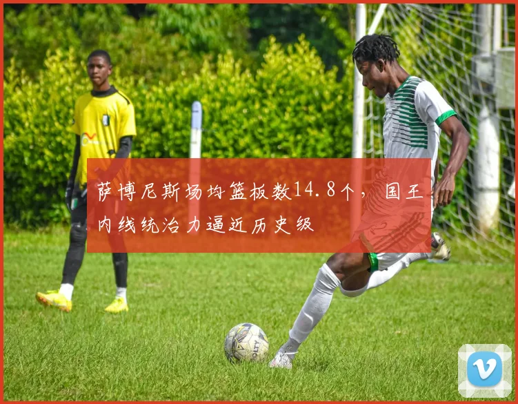 萨博尼斯场均篮板数14.8个，国王内线统治力逼近历史级